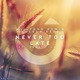 Never Too Late feat Sebastian S Single