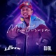 Mentirosa Single