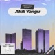 Akili Yangu Single
