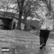 Made In Heaven Single