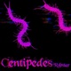 Centipedes Single