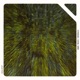 Caspian EP