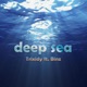 Deep Sea feat Binz Triple D Single