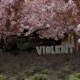Violent Single