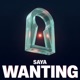 Wanting Single