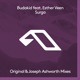 Surga Original Joseph Ashworth Mixes feat Esther Veen Single