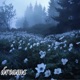 Dreams Single