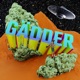 GÄDDER V 2 feat Arkasha Single