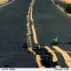 STRAIGHT LINE Single