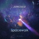Spacewalk Single