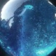 Chanel Wolf Single