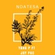 Ndatesa feat Jay Pac Single