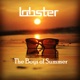 The Boys of Summer Single