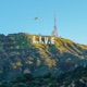 L I V E