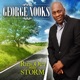 Ride Out Your Storm Single