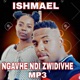 Ngavhe Ndizwidivhe Single