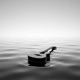 Strings In The Horizon Single
