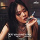 BIBI Vengeance feat Baby Tate Remix Single