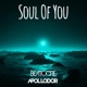 Soul of You Single