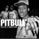 Pitbull II feat Ayefive Change Down Dj sketch Bassgroove Single