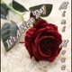 It s a New Day Single