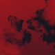 vendetta Single