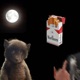 all night Single