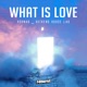 What is Love Single