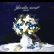 Jardin Secret feat Lucia Miona Sumeragi Single