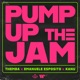 Pump Up The Jam Single
