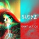 Don t Let Go Single