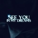 See You in My Dreams feat Amanda Ruiz Single
