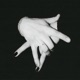 ELEGANSTAR EP