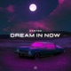 Dream in Now Single