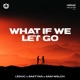 What If We Let Go feat Sam Welch Single