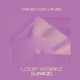 Loop Workz