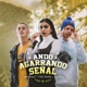 Ando Agarrando Señal feat Neto Peña Single