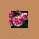 U Brought Heaven Down Single