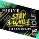 Stay a While Tiësto Remix Single
