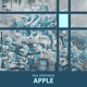 Apple EP