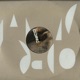 Split Single