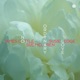 No Ordinary Love Single