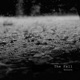 The Fall Single