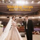 Shining Steps Single