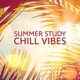 Summer Study Chill Vibes