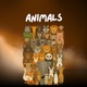 ANIMALS Single