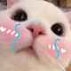 Me Dejaste Como las Demas Single