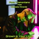 Drown In Your Love feat Nathalie Miranda Single