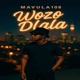 Wozo Dlala Single