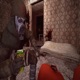 duck hunt Single